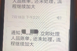 长兴贷款清欠服务